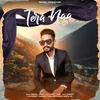 About Tere Naa Song